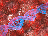 Американские генетики опробовали новый способ лечения рака - «Новости»