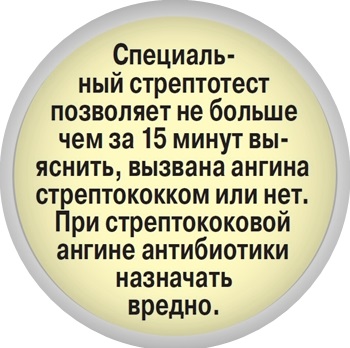 Детские инфекции: азбука для родителей - «Новости»