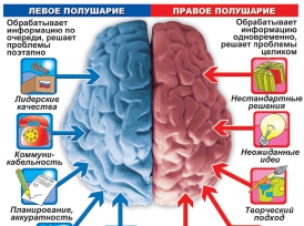 Физиогномика становится все более популярной - «Новости»