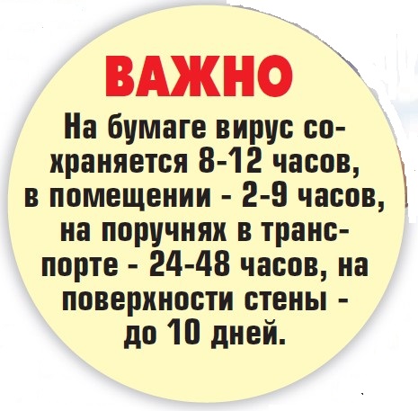 Эпидсезон начался еще летом - «Новости»