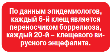 Они жаждут нашей крови - «Новости»