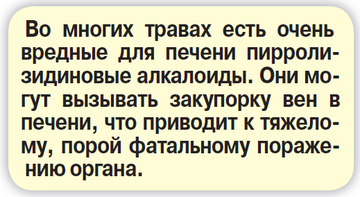 Травы против химии: кто кого? - «Новости»