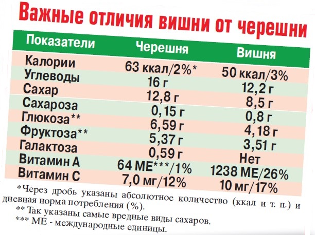 Время ягод - «Новости»