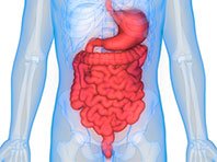 Синдром дырявого кишечника - отклонение, имеющее много "но" - «Новости»