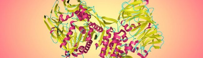 Факторы, определяющие клиническую значимость ингибиторов дипептидилпептидазы-4 в терапии пациентов с сахарным диабетом 2 типа - «Аллергология»