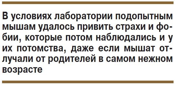 Стрессы передаются по наследству - «Новости»