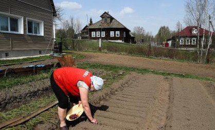 «Дачные» болезни. Под ударом спина, суставы, сердце и сосуды - «Новости»