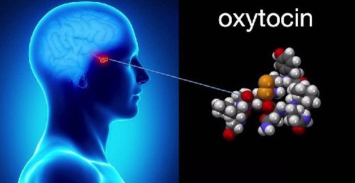 Гормон окситоцин можно будет использовать в лечении аутизма у детей - «Педиатрия»