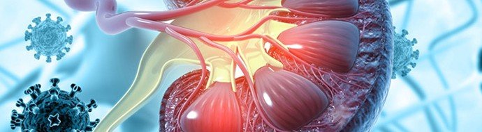 Ученые провели оценку долгосрочного воздействия COVID‑19 на почки - «Новости Медицины»