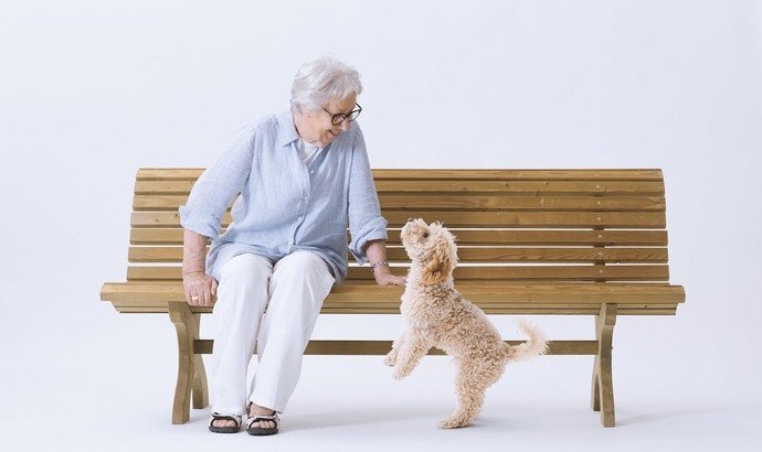 Собаки не дают стареть - «Новости Медицины»