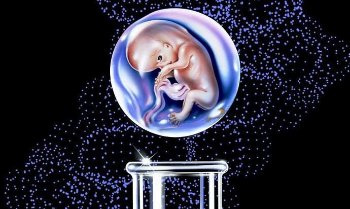 ГМО-дети на подходе - «Новости Медицины»