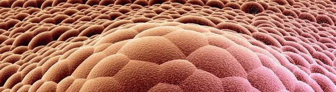 Ученые разработали новую таргетную терапию для лечения Т‑клеточных лимфом - «Новости Медицины»