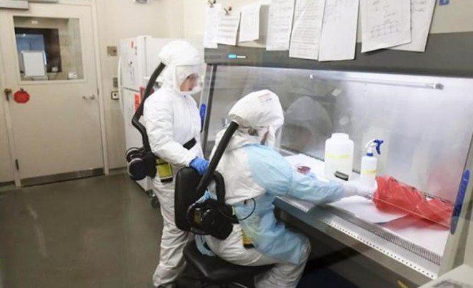 В тбилисском Центре Лугара намечается что-то жуткое: Ждет ли нас пандемия гепатита С? - «Новости Медицины»