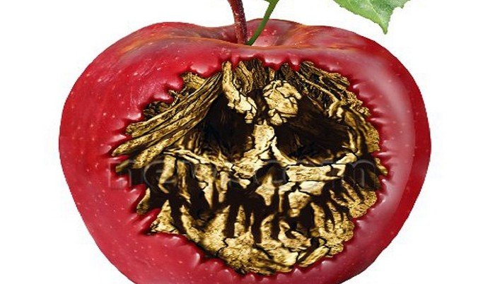 Химия на тарелке - «Новости Медицины»