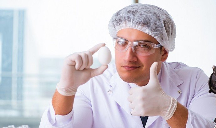 Яйца можно есть каждый день - «Новости Медицины»