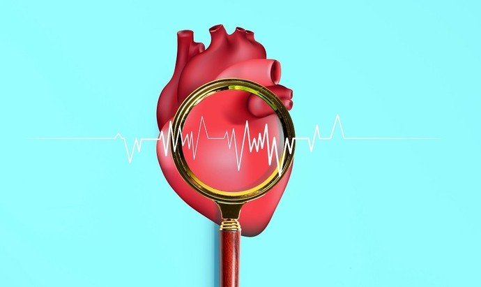 Сердце: техосмотр для «пламенного мотора» - «Новости Медицины»