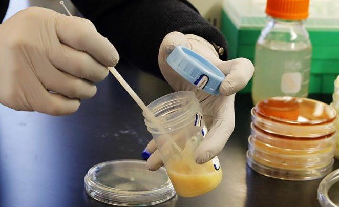 Американские свиньи отдали жизнь за сомнительную идею - «Новости Медицины»