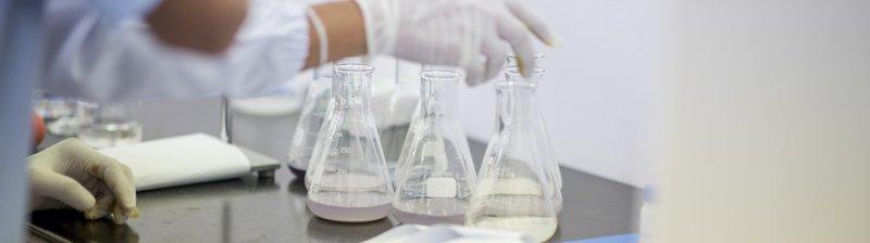 Специалисты Роспотребнадзора разработали новый тест для быстрого выявления Candida auris - «Новости Медицины»